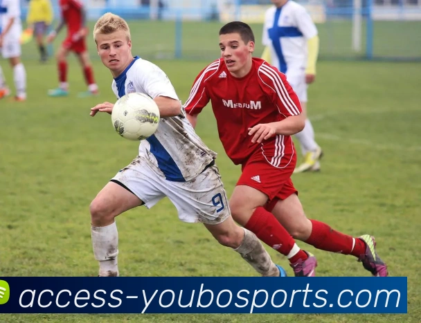 友博体育发展历程